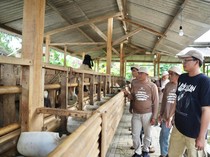 Penerima HPL di Cianjur Mulai Jalankan Peternakan Terintegrasi