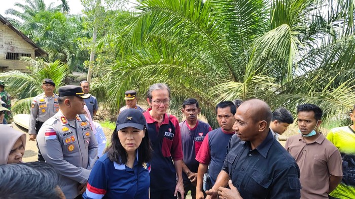 Wamen PPPA-AGP Ajak Keluarga Pascabencana di Aceh Timur Bangkit Kembali