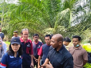 Wamen PPPA-AGP Ajak Keluarga Pascabencana di Aceh Timur Bangkit Kembali