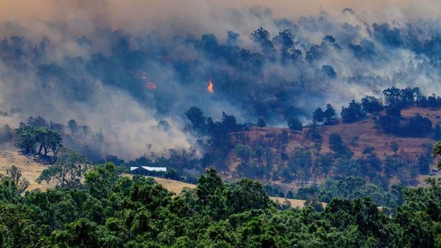 Asap mengepul dari hutan yang terbakar di lereng bukit di belakang sebuah rumah dekat Longwood saat kebakaran hutan terus berkobar di bawah kondisi cuaca yang sangat buruk di Longwood, Victoria, Australia, 9 Januari 2026. (AAP/Michael Currie via REUTERS)