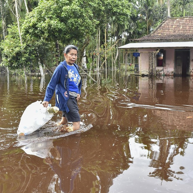 Potret Warga Terobos Banjir Luapan Sungai Dendang di Tanjabtim Jambi