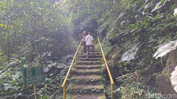 Curug Tirta Sela Panorama Curug Tirta Sela di kawasan wana wisata Baturraden, Kabupaten Banyumas, Sabtu (10/1/2025).
