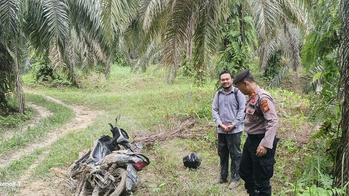Pria di Siak Telepon 110 Saat Tersesat di Kebun Sawit, Polisi Datang Menolong