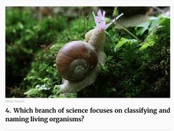 Merapat yang Ngaku Pintar Sains! Coba Tebak Kuis Ini, Bisa Nggak?