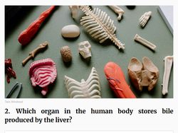 Merapat yang Ngaku Pintar Sains! Coba Tebak Kuis Ini, Bisa Nggak?