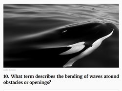 Merapat yang Ngaku Pintar Sains! Coba Tebak Kuis Ini, Bisa Nggak?