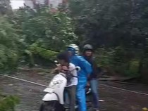 Pohon Tumbang Tutup Jalan Perintis Kemerdekaan Makassar, Lalu Lintas Lumpuh