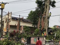 Pohon di Petilasan Eyang Cikundul Timpa Tiang Listrik, 37 Ribu Pelanggan Terdampak
