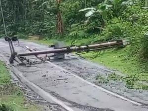 Dua Tiang Listrik Tumbang Tutup Jalur Cianjur-Sindangbarang, Listrik Padam