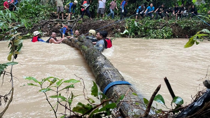 Cegah Banjir, Warga Serang Potong Pohon Tumbang Melintang di Sungai
