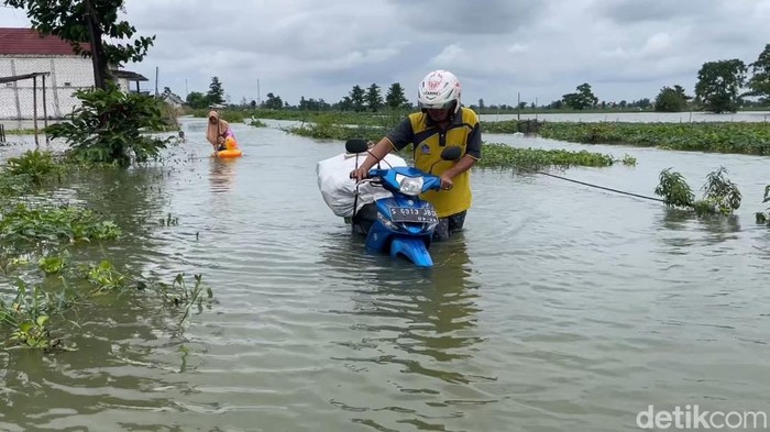 Banjir luapan Bengawan Jero Lamongan