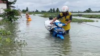 Dampak banjir tidak hanya dirasakan di sektor permukiman, tetapi juga pada perekonomian warga. Ratusan hektare lahan tambak dilaporkan gagal panen akibat terendam banjir berkepanjangan.