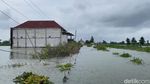 Banjir Luapan Bengawan Jero Lamongan Belum Surut