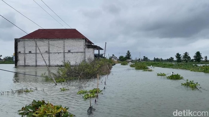 Banjir luapan Bengawan Jero Lamongan