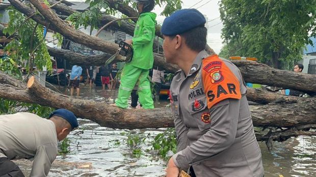 Brimob Polda Metro Jaya menangani pohon tumbang di Tanjung Priok, Jakut, usai hujan deras disertai angin kencang. (dok Istimewa)