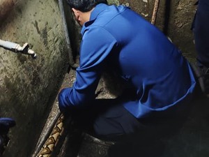 Ular Piton 4 Meter Bersarang Dalam Pipa Saluran Air Rumah di Bone