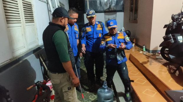 Damkar Kuningan saat evakuasi ular kobra agresif yang masuk halaman rumah warga Damkar Kuningan saat evakuasi ular kobra agresif yang masuk halaman rumah warga