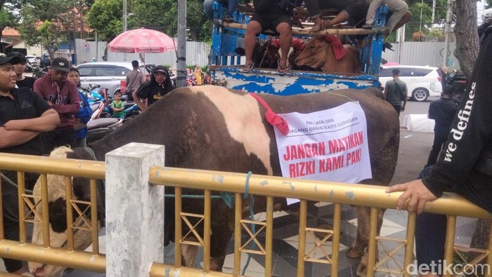 Bawa Sapi, Pedagang Pegirian Geruduk DPRD Surabaya Tolak Relokasi RPH