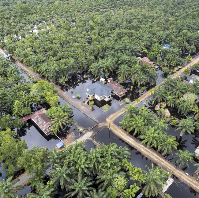 Foto Udara Luapan Sungai Dendang Rendam Desa Jati Mulyo Jambi