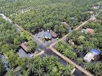 Foto Udara Luapan Sungai Dendang Rendam Desa Jati Mulyo Jambi