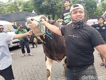 Panas! Massa Demo RPH Pegirian Bawa Sapi Masuk ke DPRD Surabaya