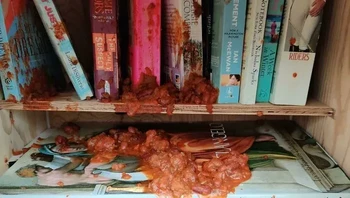 Seseorang berbaik hati bikin perpustakaan. Tiba-tiba, ada orang yang merusak dengan menuangkan saus pedas dan makanan kucing ke rak-rak buku. Foto: Extric_Atorium via Bored Panda