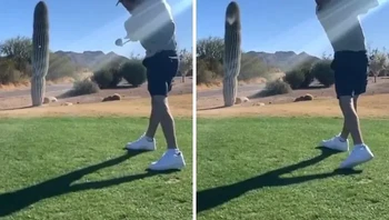 Orang ini secara sengaja menghajar spesies kaktus yang terancam. Foto: ChowRunners, breezygolf via Bored Panda