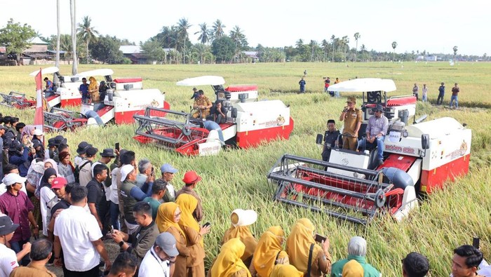 Realisasi KUR di Bone Tembus Rp 1,7 Triliun, Sektor Pertanian Mendominasi