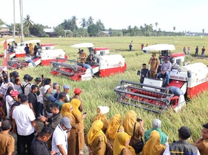 Realisasi KUR di Bone Tembus Rp 1,7 Triliun, Sektor Pertanian Mendominasi