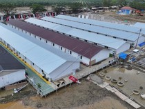 Pemerintah Kebut Pembangunan Hunian Sementara Korban Bencana Sumatera