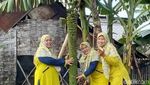 Penampakan Pisang Bertandan 2 Meter di Lamongan