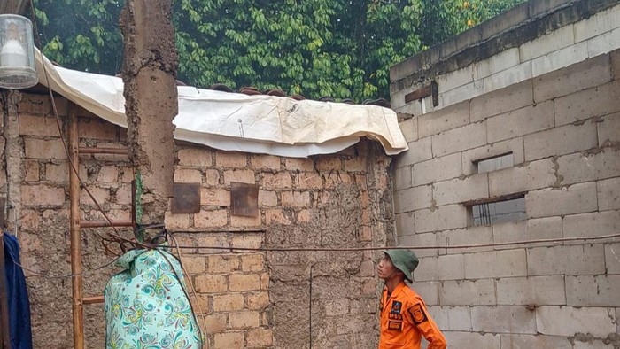 Hujan dan Angin Kencang, Pohon Tumbang Timpa 3 Rumah Warga Ciseeng Bogor