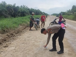 Kecelakaan Tunggal di Pelalawan, 2 Pegawai BUMD Tewas Terjebak di Mobil