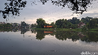 Situ Sidomukti: Spot Mancing Sepi di Kota Depok, Lele dan Ikan Mas Melimpah