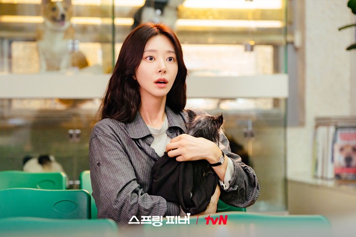 Adegan dalam drama Korea Spring Fever.