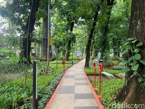 Cerita Penjaga dan Pencari Ketenangan di Taman Lansia Bandung