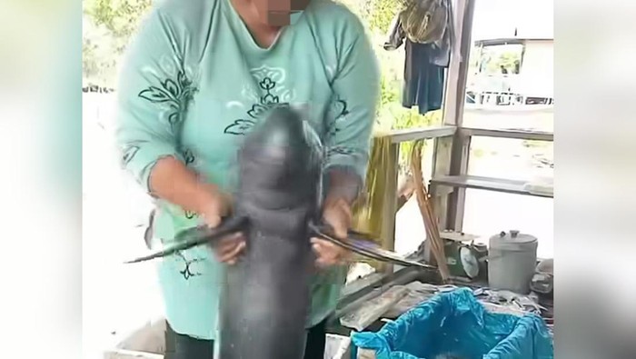 Tangkapan layar video viral wanita yang memainkan lumba-lumba tanpa sirip punggung.