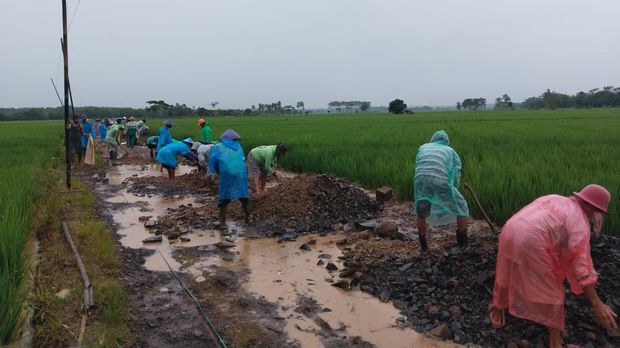 Warga Desa Teluk Lada, Kecamatan Sobang, swadaya memperbaiki jalan rusak. (Aris Rivaldo/detikcom)