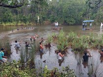 11 Budaya Belitung yang Wajib Diketahui, dari Tradisi hingga Kesenian