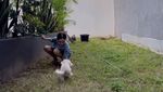 Dearly Djoshua Sibuk Berkebun dan Merawat Diri Usai Putus dari Ari Lasso