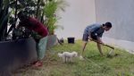 Dearly Djoshua Sibuk Berkebun dan Merawat Diri Usai Putus dari Ari Lasso