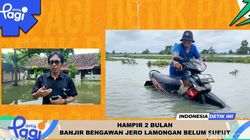 Video: Hampir 2 Bulan Banjir Bengawan Jero Lamongan Belum Surut