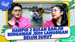 Video: Hampir 2 Bulan Banjir Bengawan Jero Lamongan Belum Surut