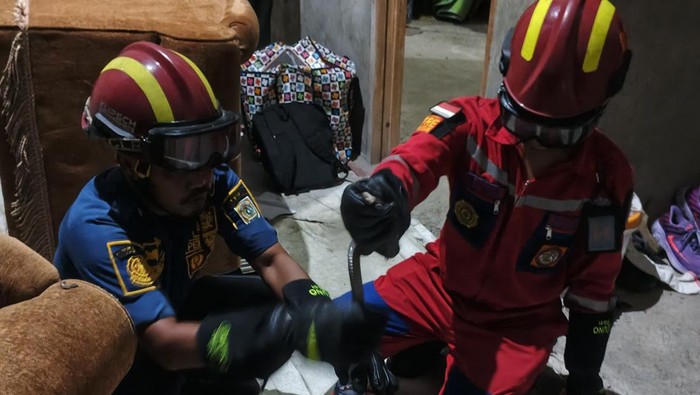 Damkar Klaten evakuasi kobra di Desa Krakitan, Kecamatan Bayat, Klaten.