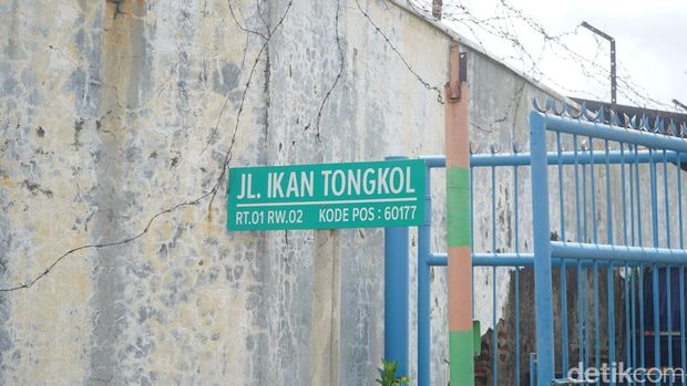 Jalan dengan nama-nama ikan di Surabaya Jalan dengan nama-nama ikan di Surabaya