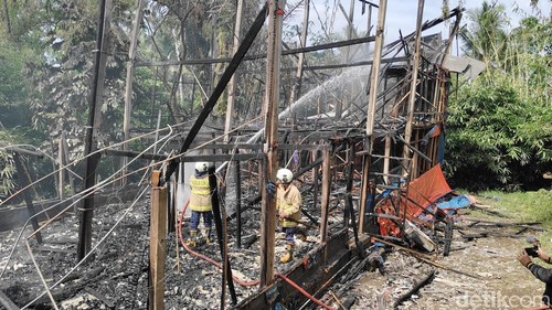 Kandang ayam milik Miasa tak tersisa dan ribuan bangkai bibit ayam di Blahkiuh, Abiansemal, Selasa (13/1/2026).