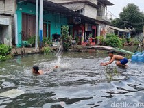 Video: Momen Anak-anak Asyik Bermain di Tengah Banjir Rawa Indah Jakut