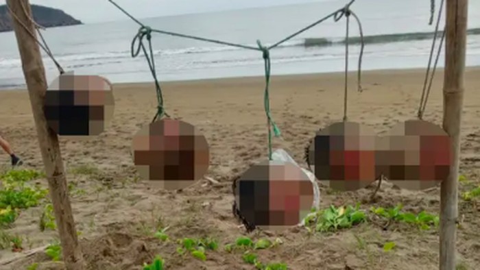 Ngeri! Lima Kepala Manusia Tergantung di Pantai Favorit Turis di Ekuador