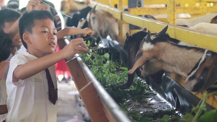 Dari Kandang ke Kolam, Anak-anak SD Belajar di Tabung Harmoni Hijau Polda Riau