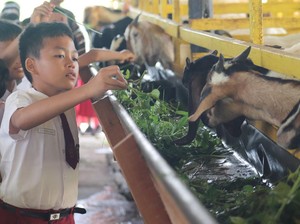 Dari Kandang ke Kolam, Anak-anak SD Belajar di Tabung Harmoni Hijau Polda Riau